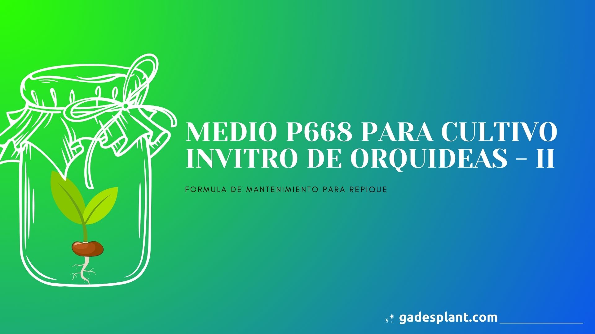 Medio de cultivo P668 para semillas - Orquídeas y Terrarios Plantados