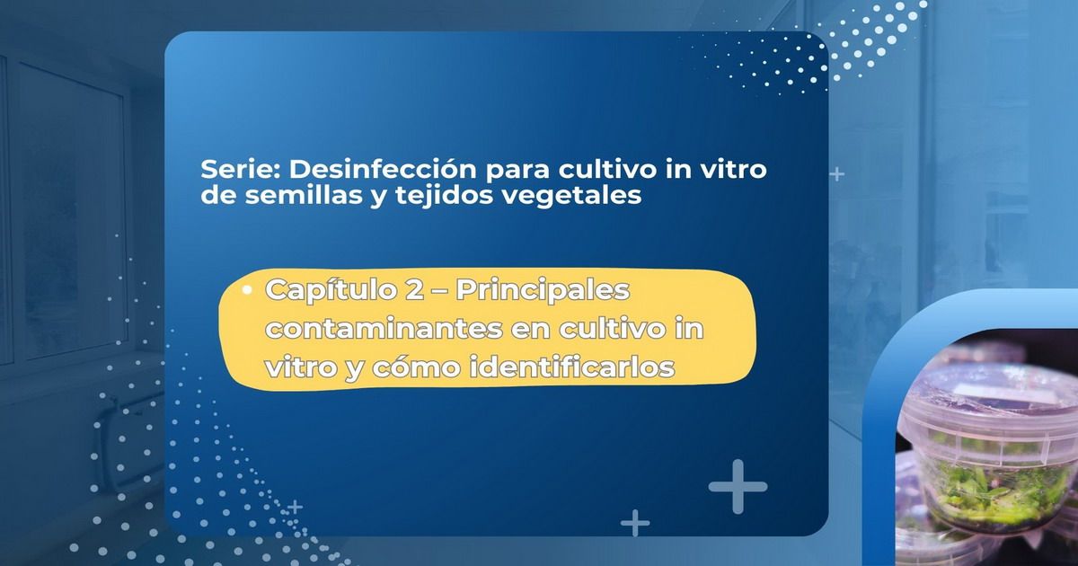Protocolo Desinfección - Gadesplant - Orquideas y Terrarios