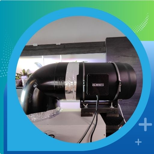 GloveBox 4.0 - Gadesplant - Orquídeas y Terrarios. Cultivo in vitro de orquídeas
