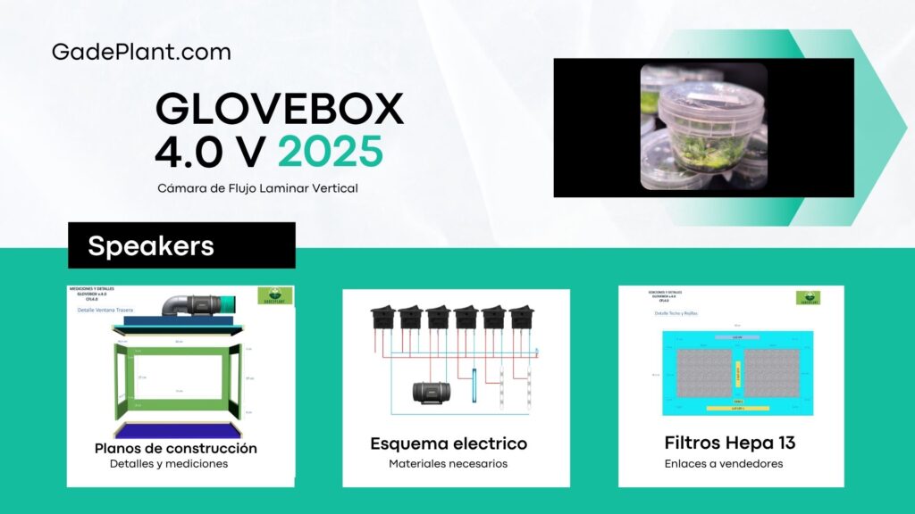 GloveBox 4.0 - Gadesplant - Orquídeas y Terrarios. Cultivo in vitro de orquídeas